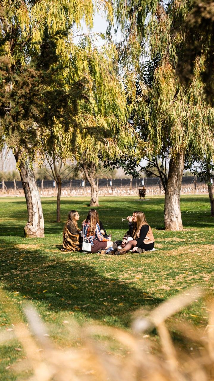 Grupo compartiendo una copa en el parque de la bodega