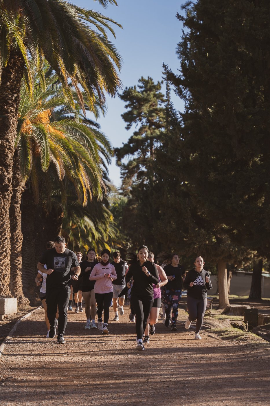 Grupo de Sprinters corriendo entre las palmeras del parque